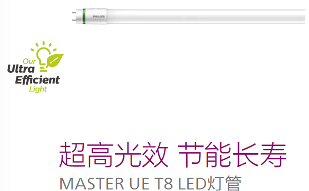 MASTER UE T8 LEDƹ