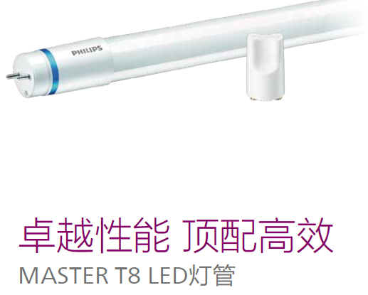 MASTER T8 LEDƹ